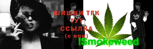 сатива Верхний Тагил