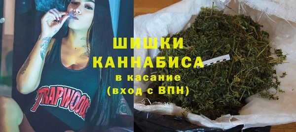 сатива Верхний Тагил