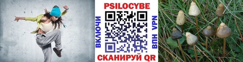 Купить где  Назарово  Галлюциногенные грибы Psilocybe 