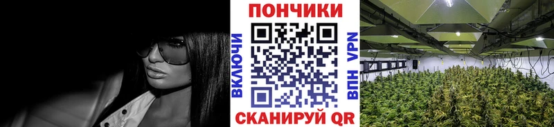 Конопля индика  Купить  Назарово 